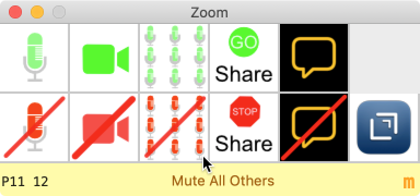 Zoom controller palette