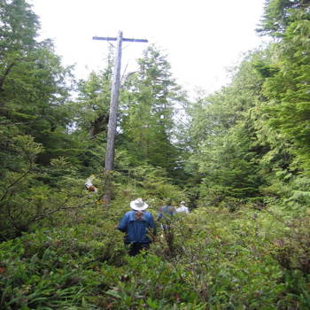 Telephone pole trail marker