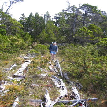 Laura on the old board road