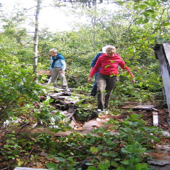 Walking across collapsed building remains
