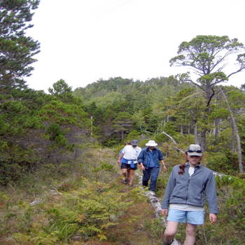 Returning along the board road