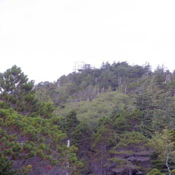 Distant view of station resembling a jungle gym