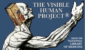 The Visible Human Project (National Library of Medicine)