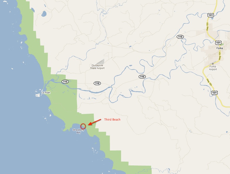 Topographic map of Third Beach SEEK site