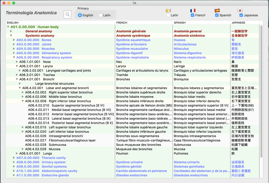 Multi-language view