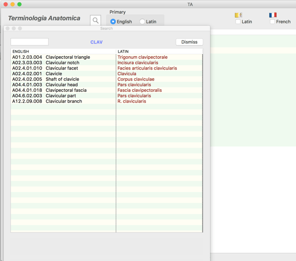 Search functionality